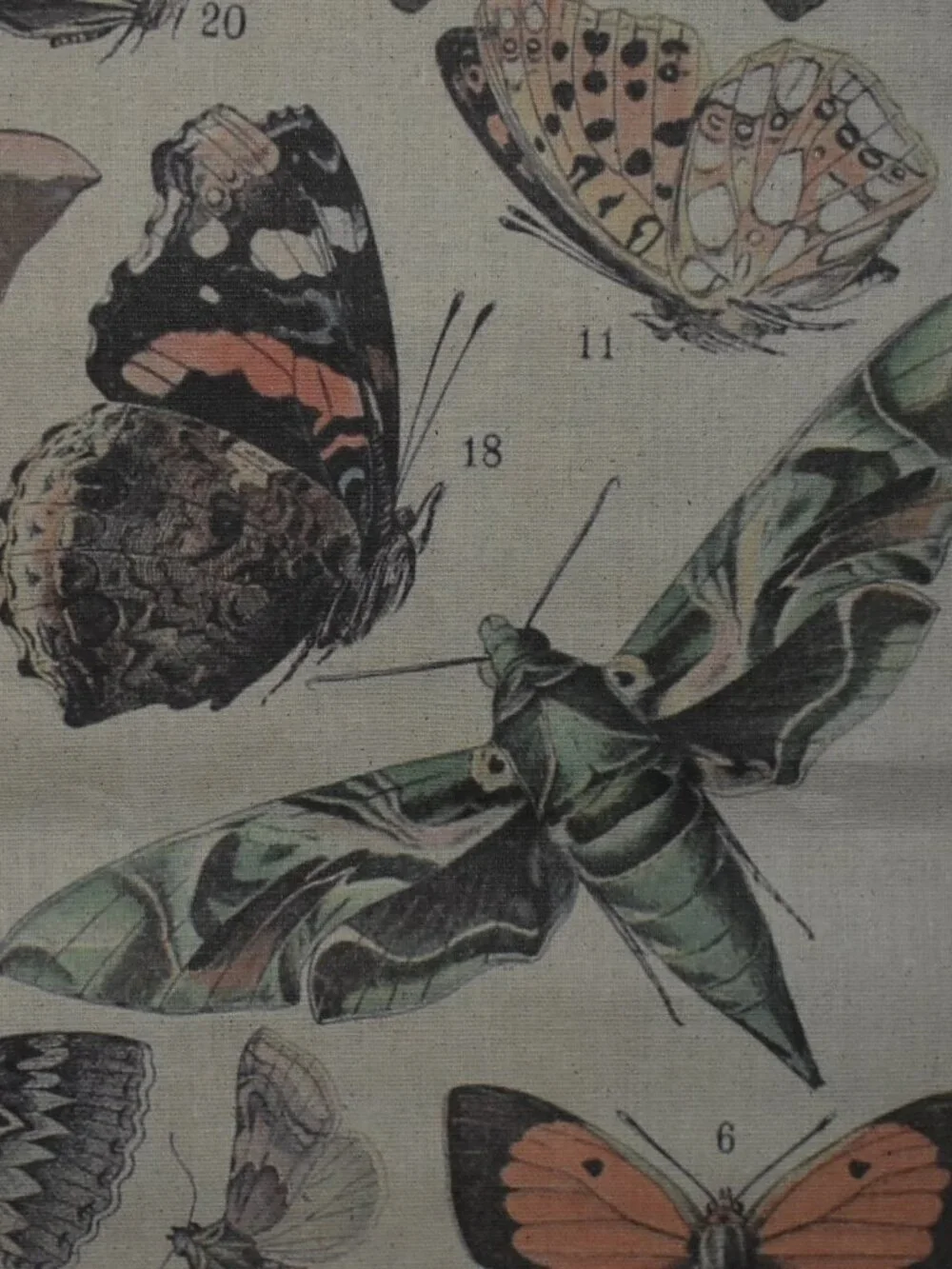 Butterfly Moth Large Linen Canvas Scroll Tapestry Boho Cottagecore Wall Decor